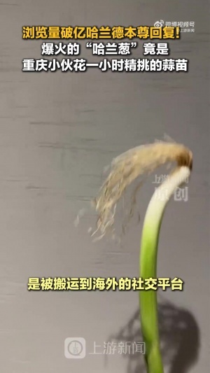 最新世界杯德國VS意大利回放低調看直播_最新世界杯德國VS意大利回放低調看直播在線觀看_免費看直播
