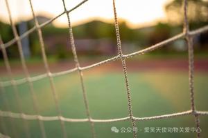 實時足球高清2026全場錄像_實時足球高清2026全場錄像在線觀看_免費看直播